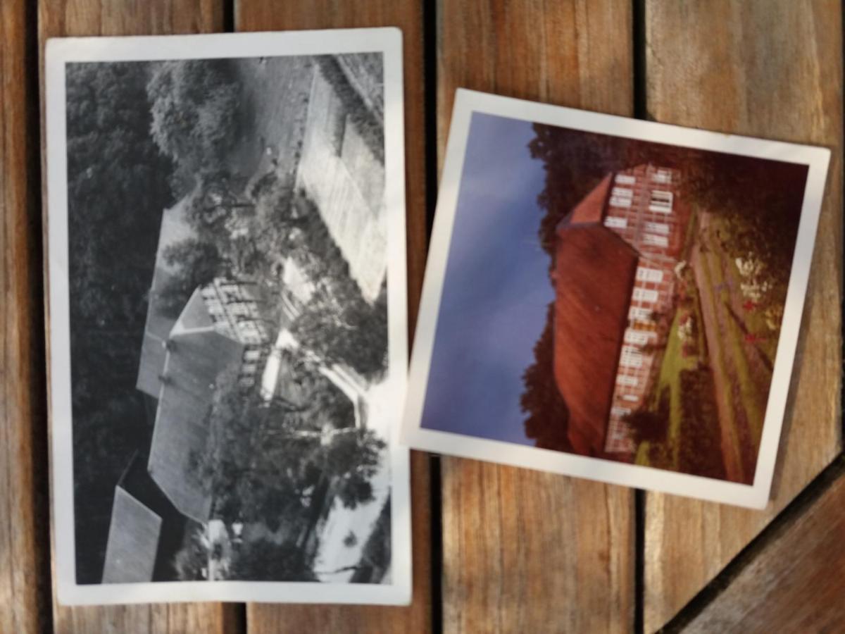 Hof Düshop Daire Bad Fallingbostel Dış mekan fotoğraf